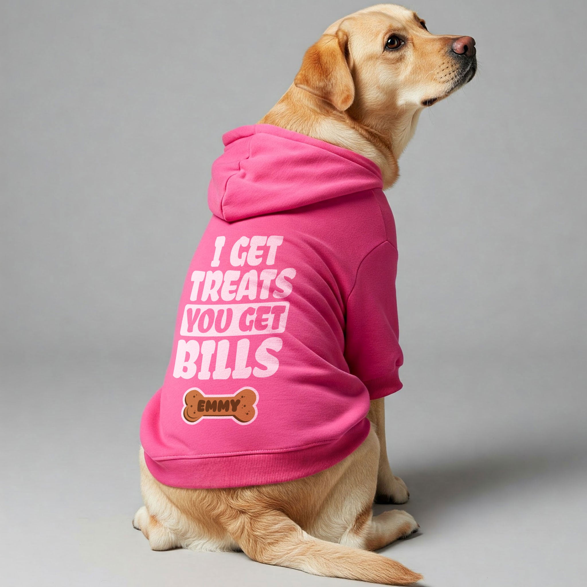 I Get Treats, You Get Bills - personalized hoodie with your dog name – dog hoodie – dog clothes