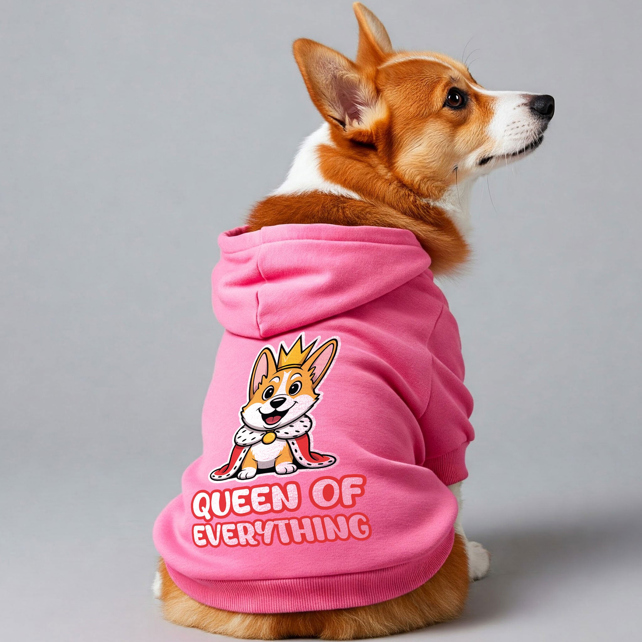Queen of Everything - Corgi Hoodie - Dog Clothes