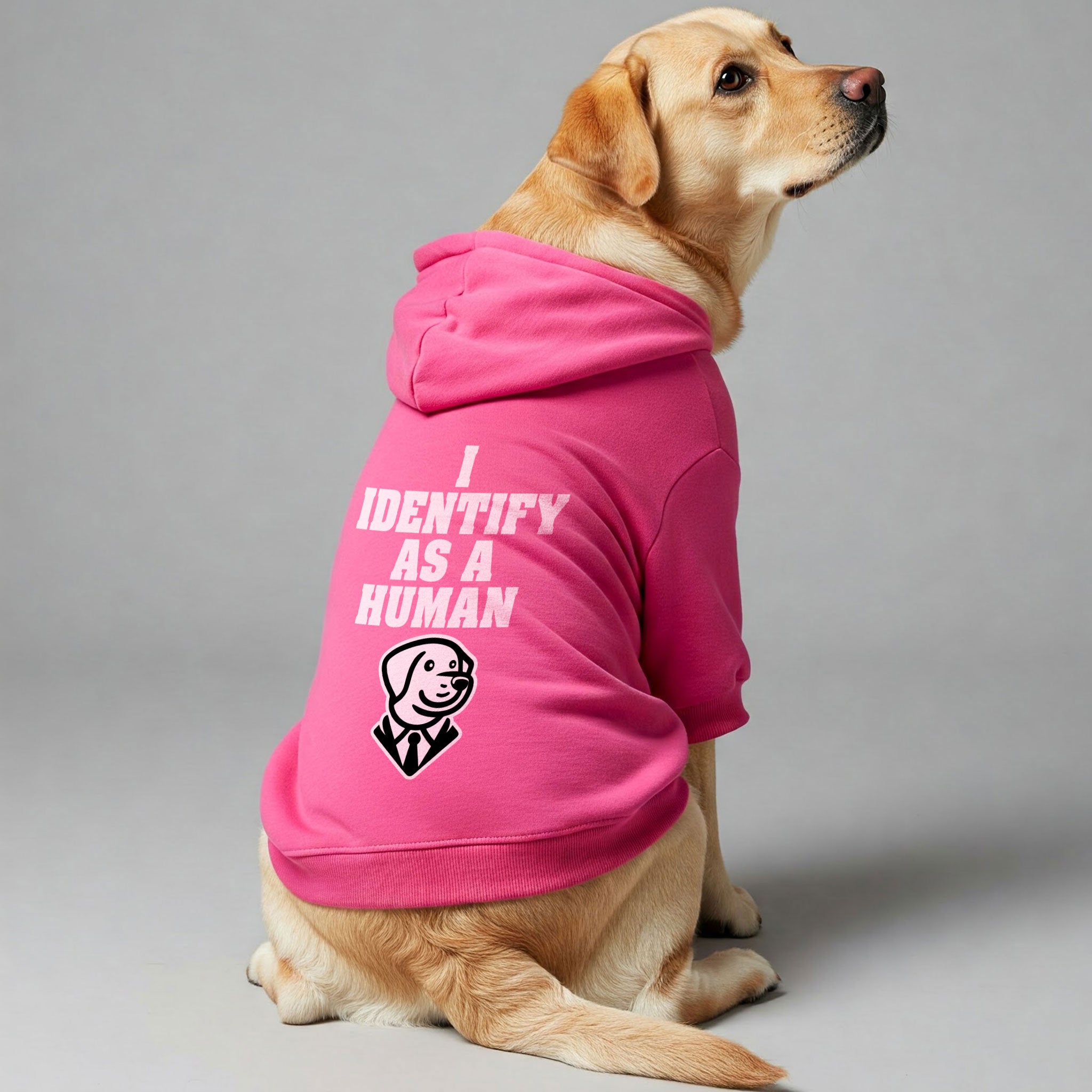 I IDENTIFY AS A HUMAN - Labrador Hoodie - Dog Clothes