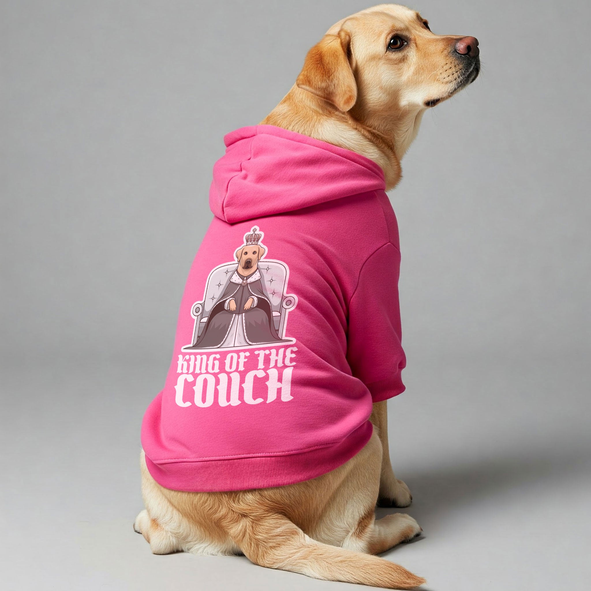 King of the Couch - Labrador Hoodie - Dog Clothes