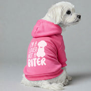 Maltese dog wearing a 'Lover, Not a Biter' hoodie
