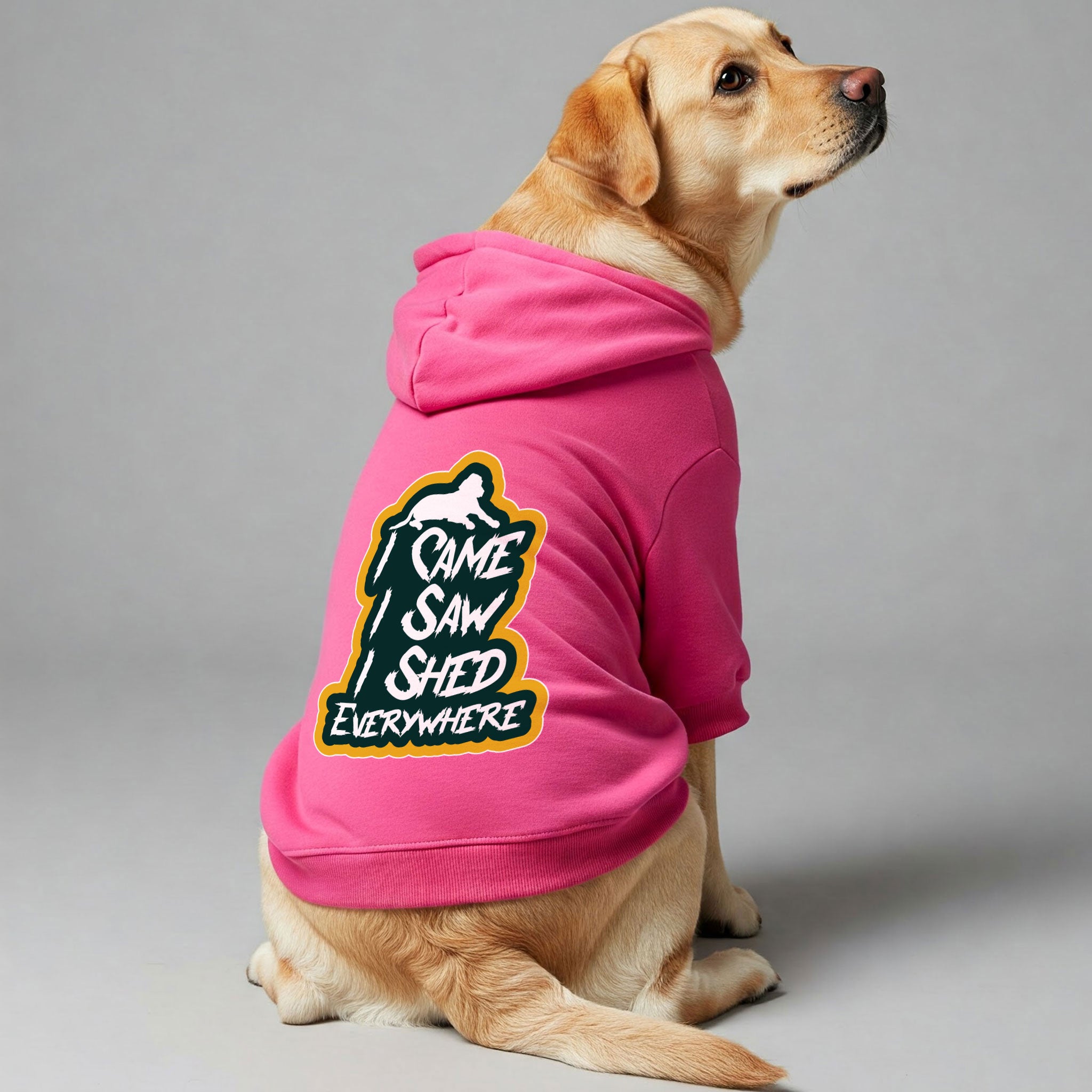 I Came, I Saw, I Shed Everywhere - Labrador Hoodie - Dog Clothes