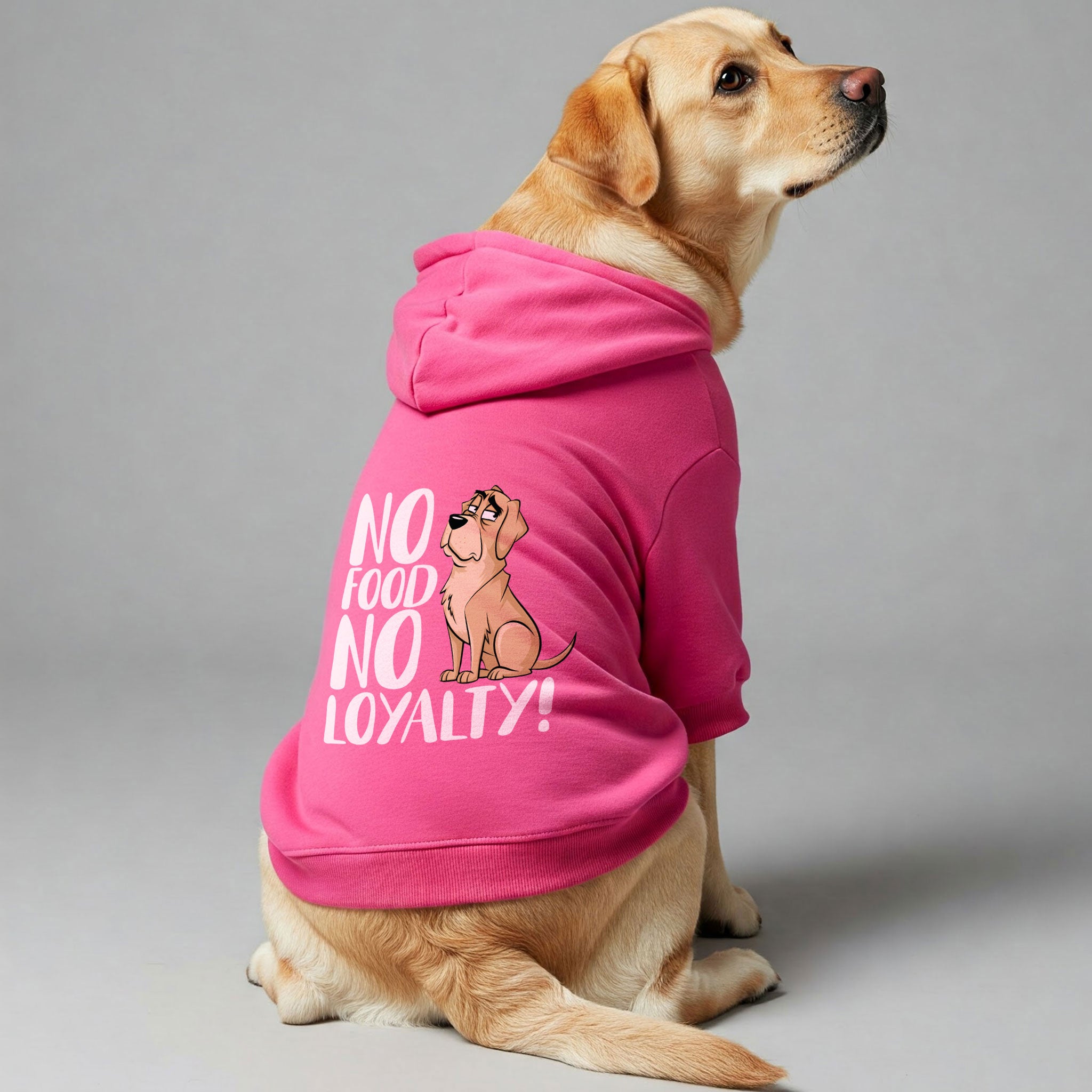 No food? No loyalty! - Labrador Hoodie - Dog Clothes