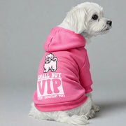 Maltese dog wearing a 'Small but VIP' hoodie
