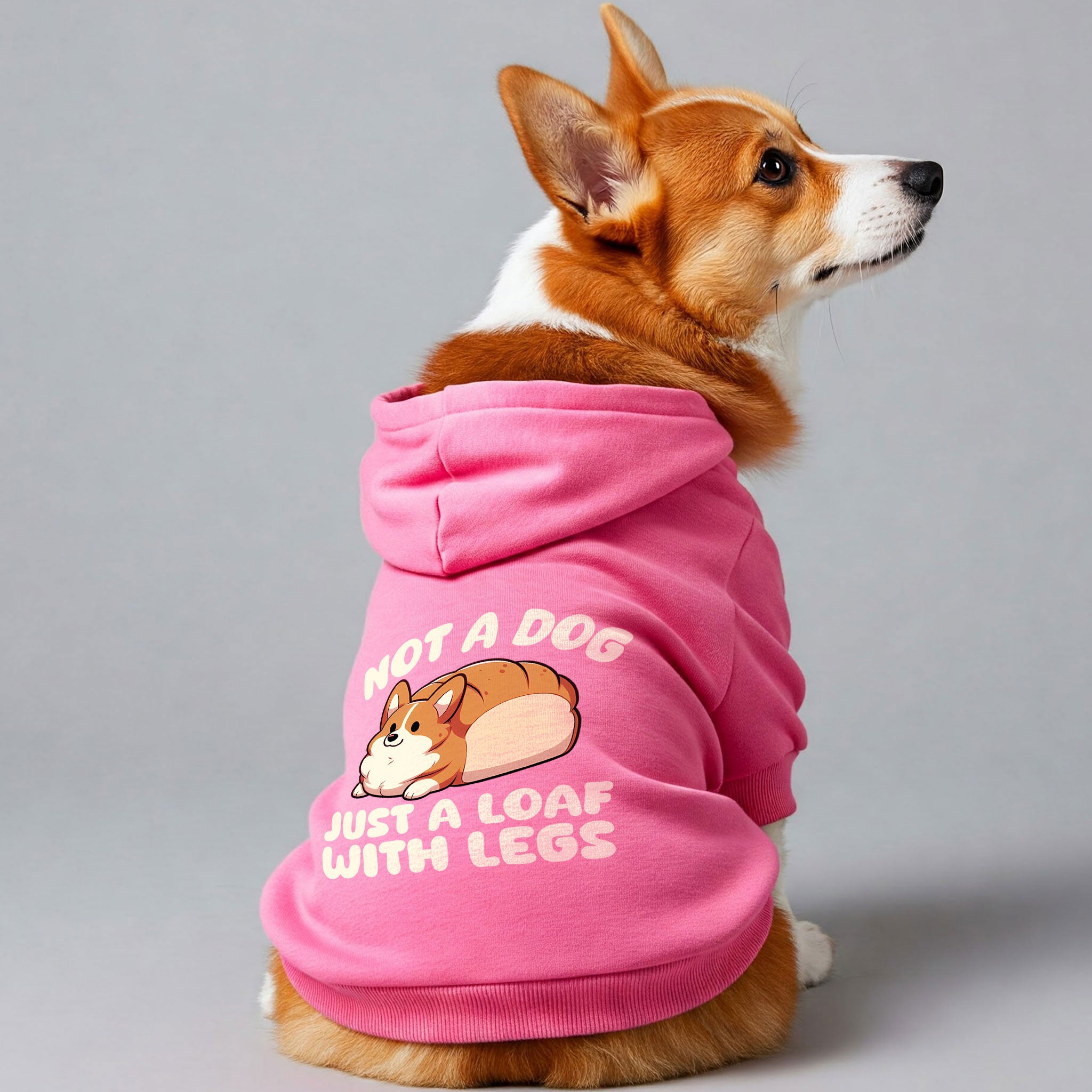 Not a Dog - Just a Loaf With Legs - Corgi Hoodie - Dog Clothes