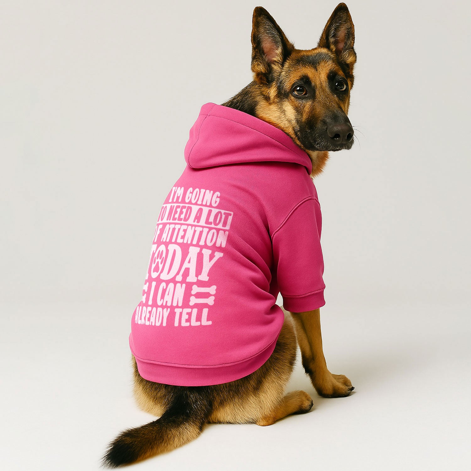 I'm Going to Need a Lot of Attention Today I Can Already Tell– Dog Hoodie – Dog Clothes
