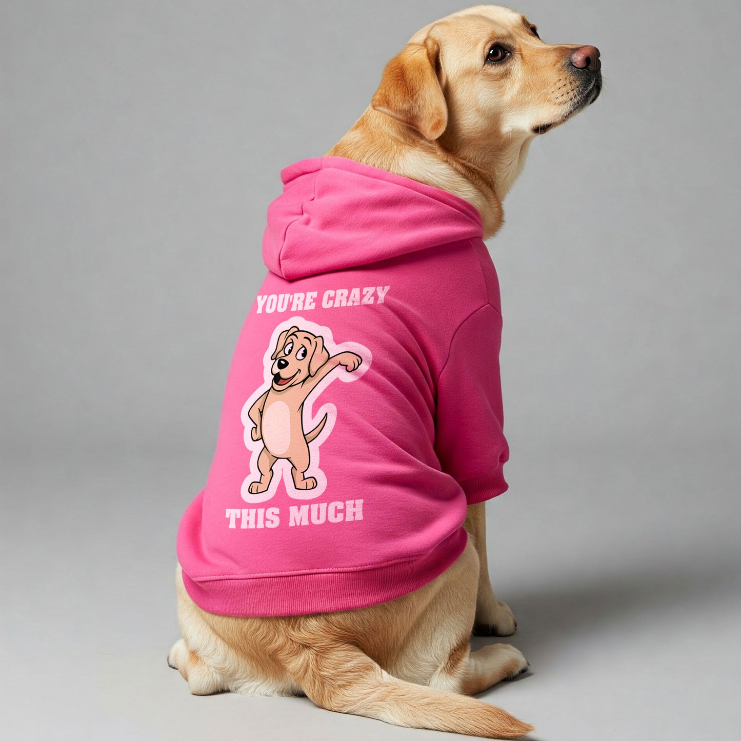 Youre crazy this much - Labrador Hoodie - Dog Clothes