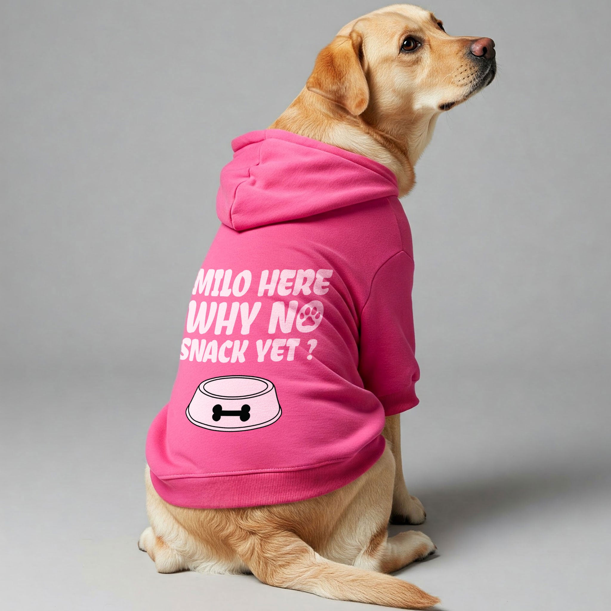 Milo  here... why no snack yet ? - personalized hoodie with your dog name – dog hoodie – dog clothes