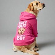 Labrador wearing a 'Sun's Out, Tongue's Out' hoodie