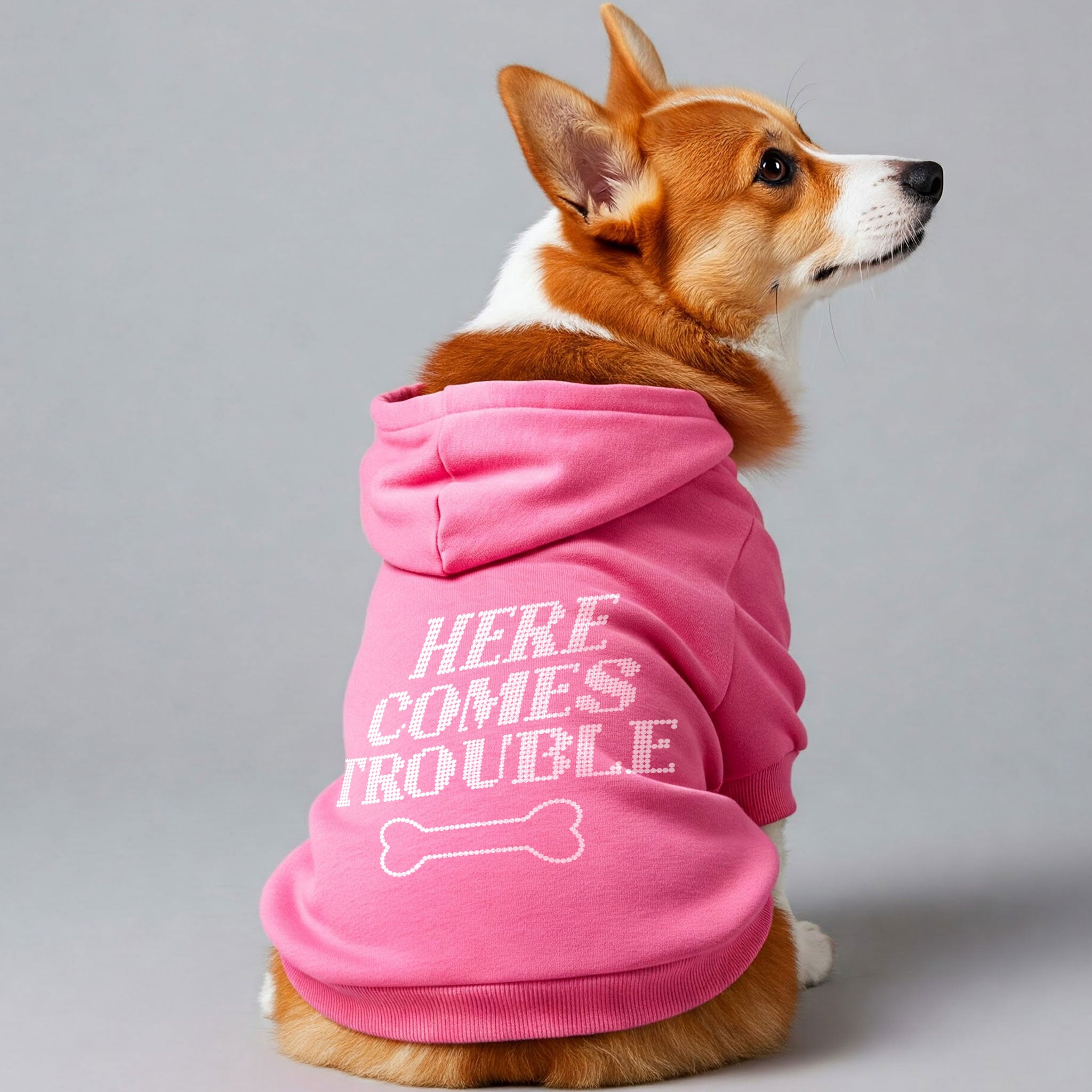 Here Comes Trouble – Dog Hoodie – Dog Clothes