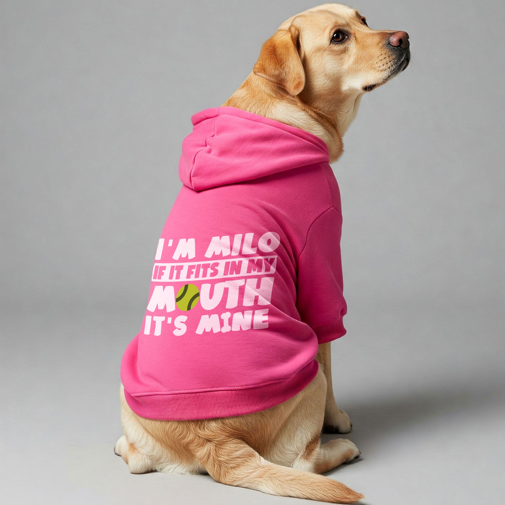 I’m Milo. If it fits in my mouth, it’s mine - personalized hoodie with your dog name – dog hoodie – dog clothes