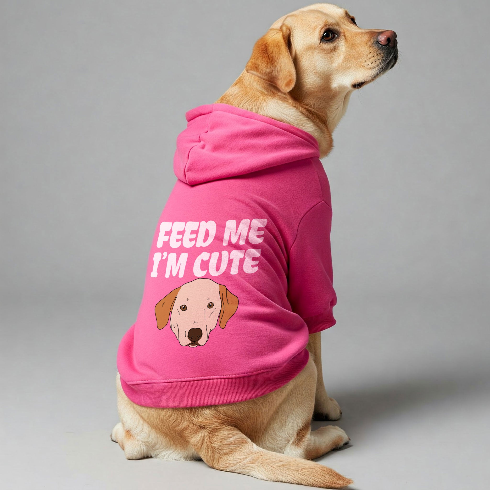 Feed me, I’m cute - Labrador Hoodie - Dog Clothes
