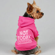 Not Today, Squirrel – Dog Hoodie – Dog Clothes
