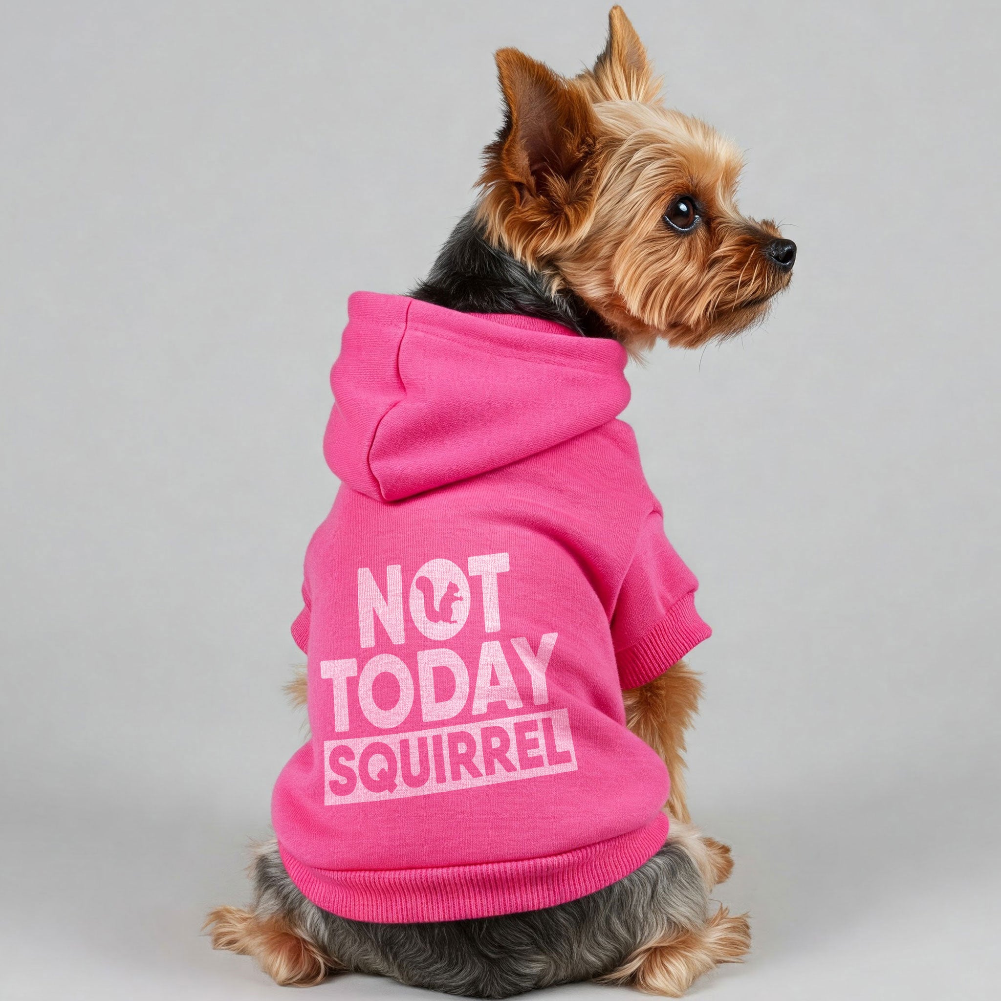 Not Today, Squirrel – Dog Hoodie – Dog Clothes