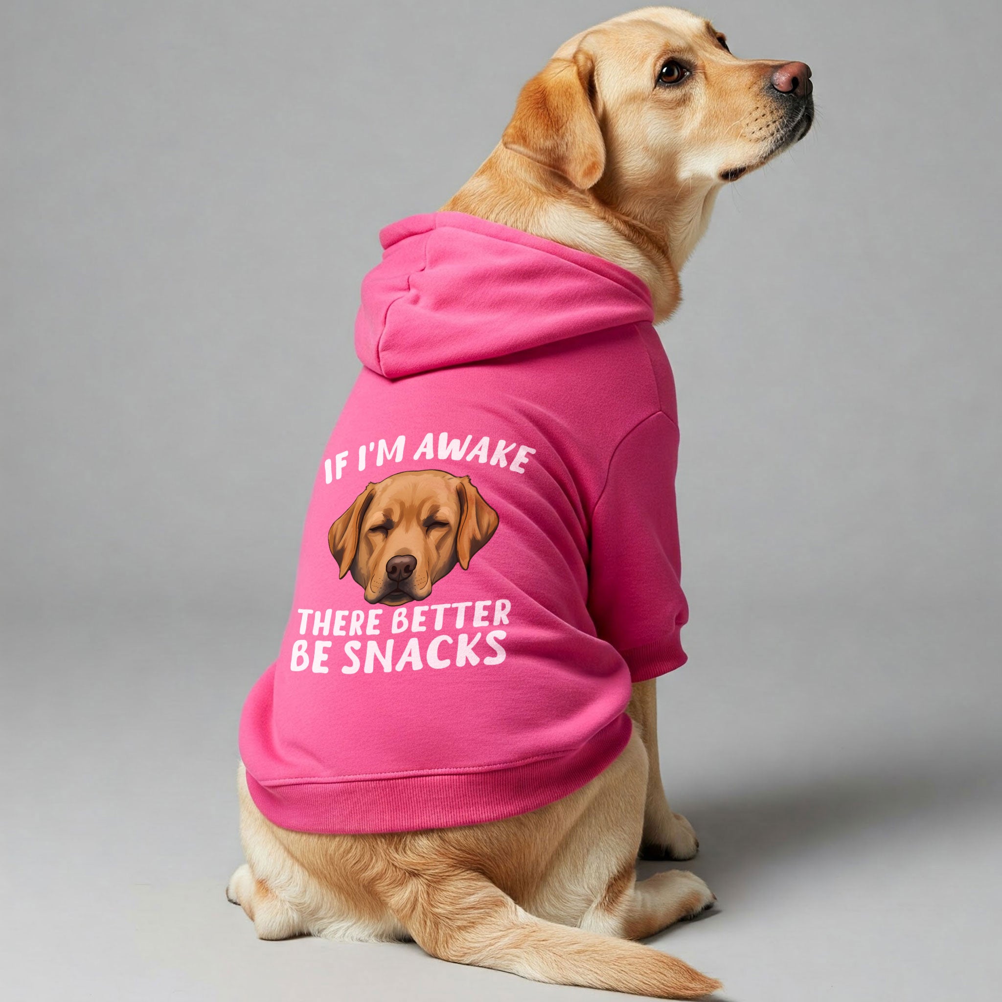 If Im awake, there better be snacks - Labrador Hoodie - Dog Clothes