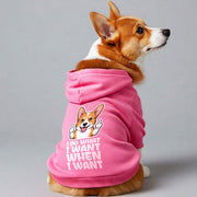 Corgi wearing an 'I Do What I Want' hoodie