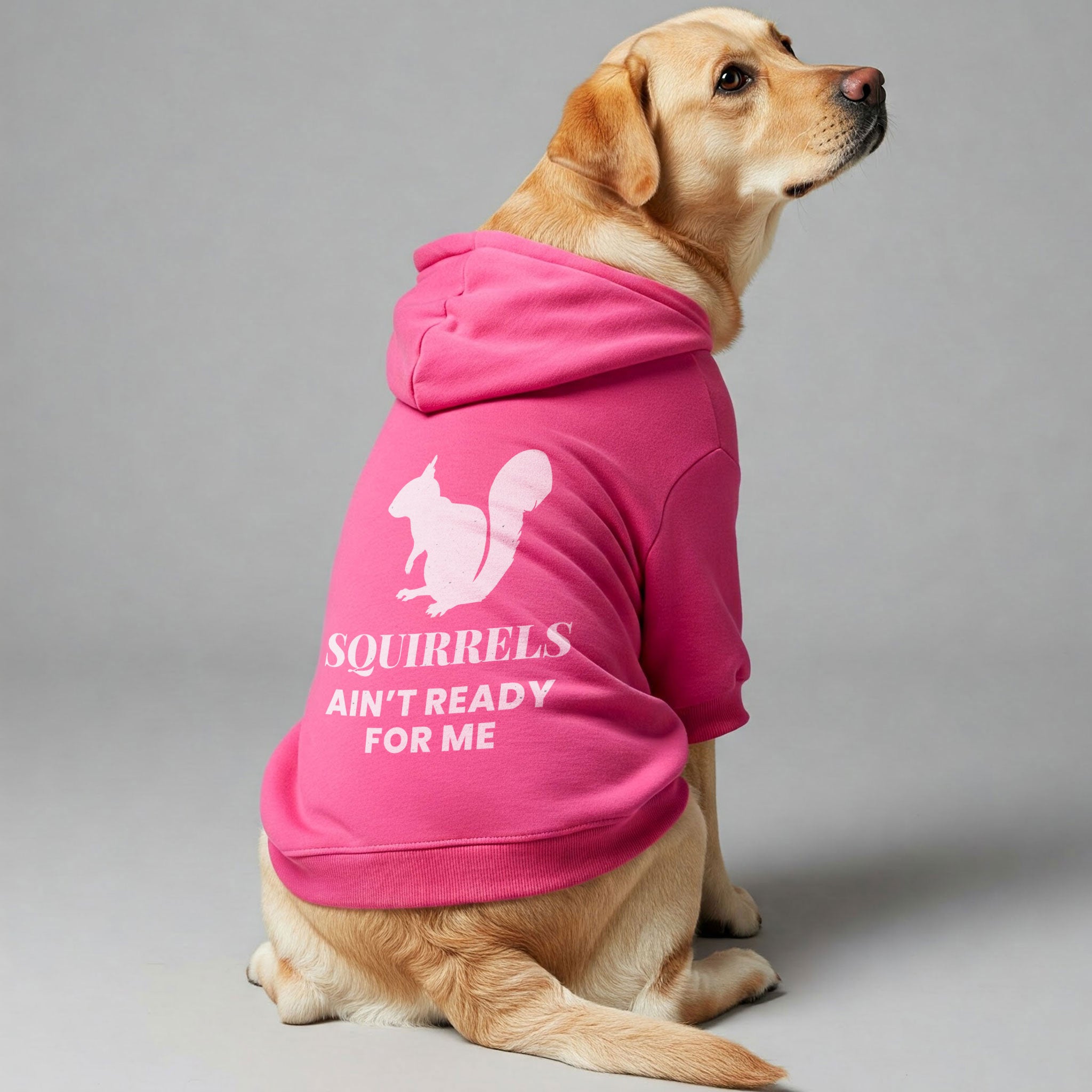 SQUIRRELS AIN’T READY FOR ME - Labrador Hoodie - Dog Clothes