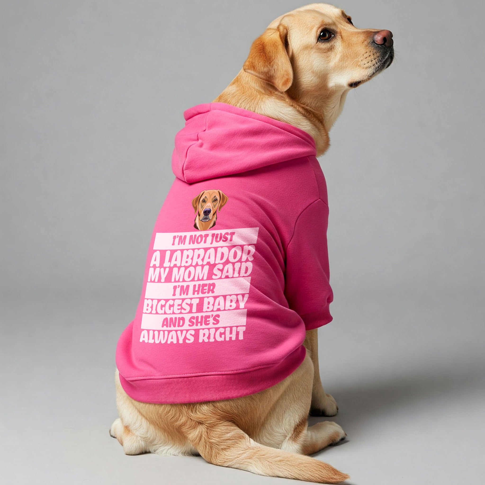 I’m not just a Labrador… My mom said I’m her biggest baby, and she’s always right - Labrador Hoodie - Dog Clothes