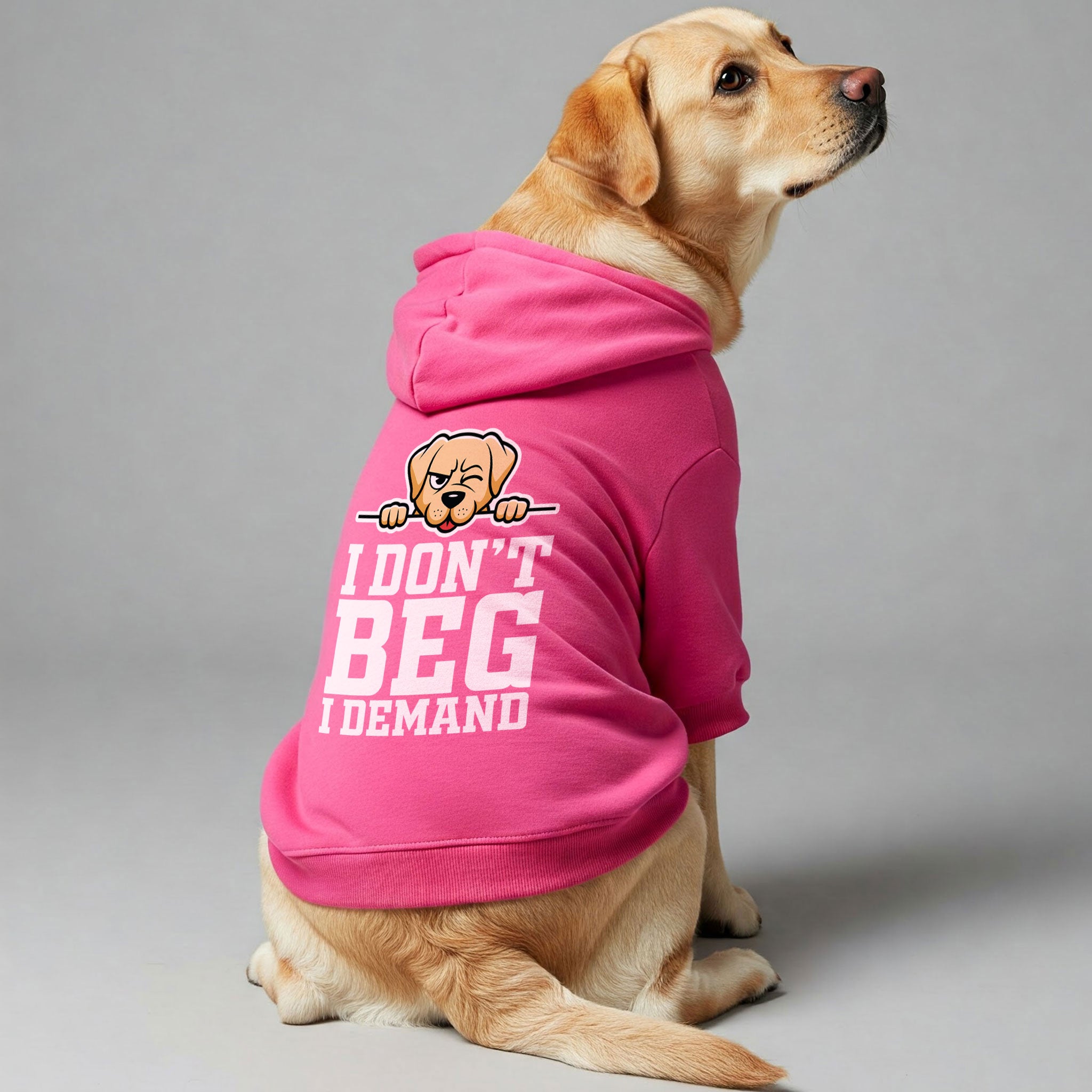 I don’t beg… I demand - Labrador Hoodie - Dog Clothes