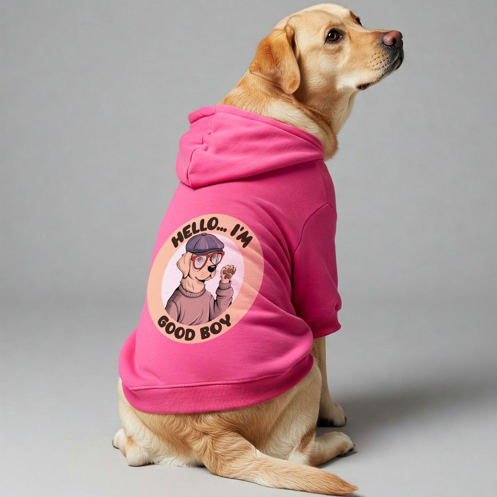 HELLO... IM GOOD BOY - Labrador Hoodie - Dog Clothes