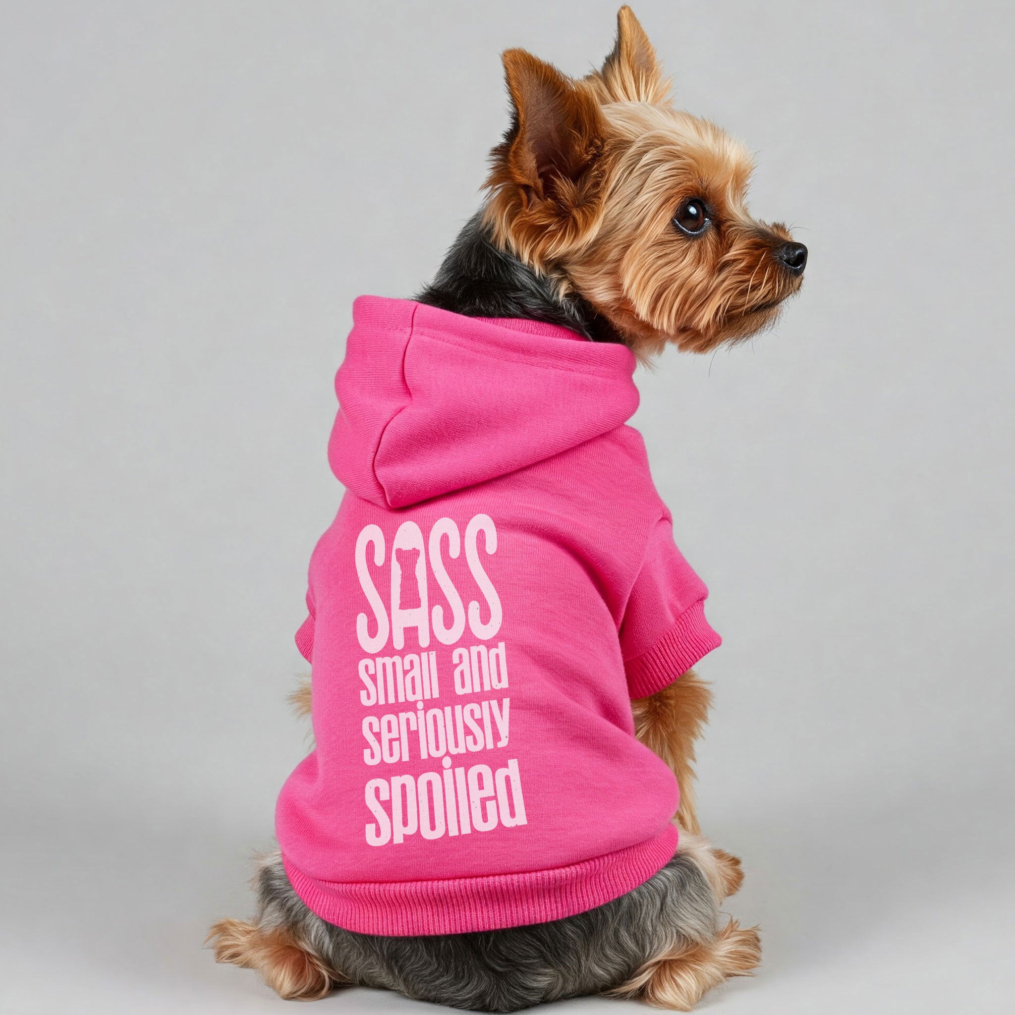 SASS ( Small And Seriously Spoiled ) - Yorkie Hoodie - Dog Clothes