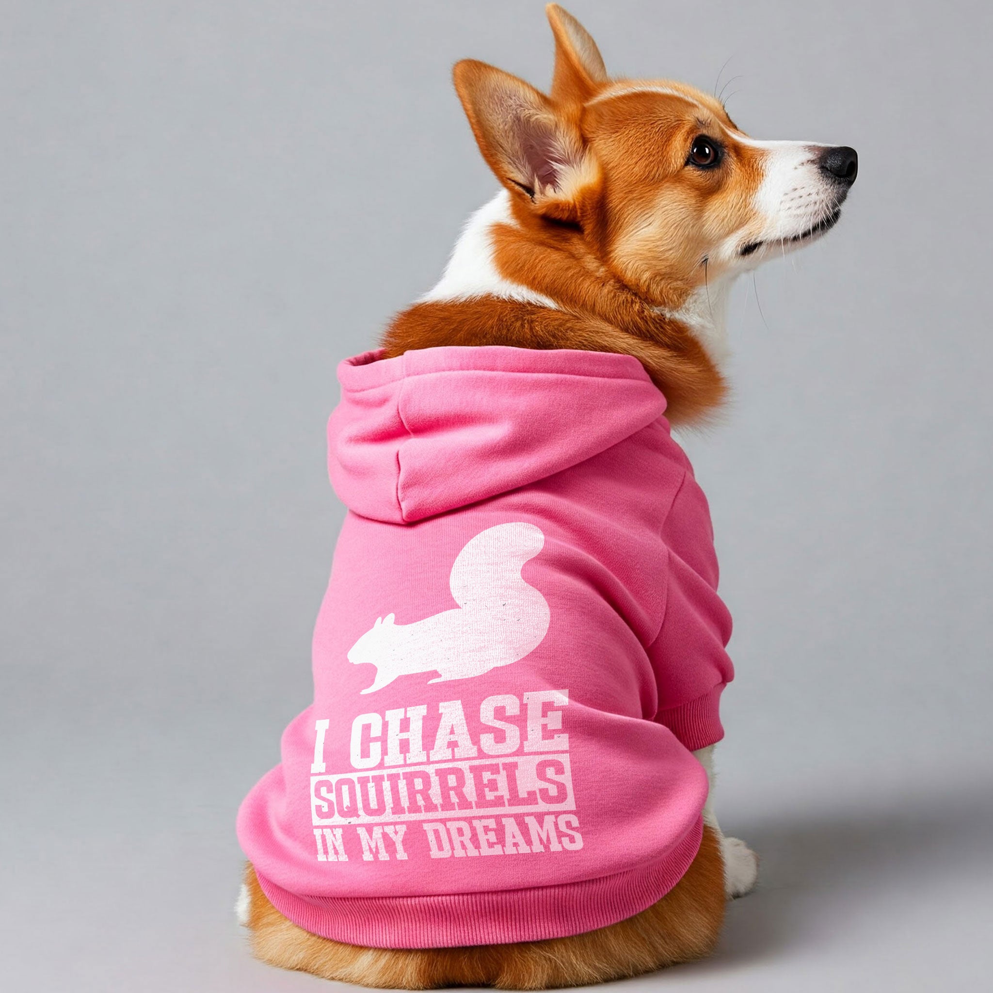 I chase squirrels… in my dreams – Dog Hoodie – Dog Clothes