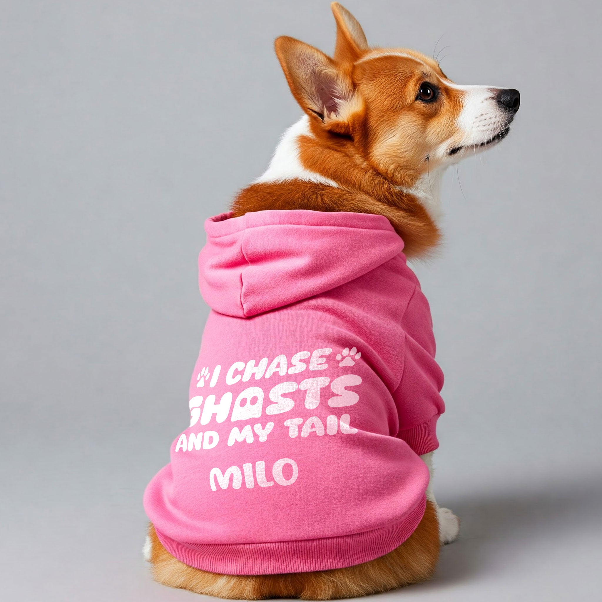 I Chase Ghosts (and my tail) - personalized hoodie with your dog name – dog hoodie – dog clothes