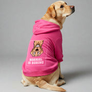 Labrador wearing a 'Normal Is Boring' hoodie