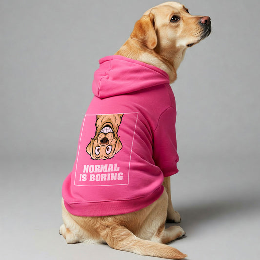 NORMAL IS BORING - Labrador Hoodie - Dog Clothes