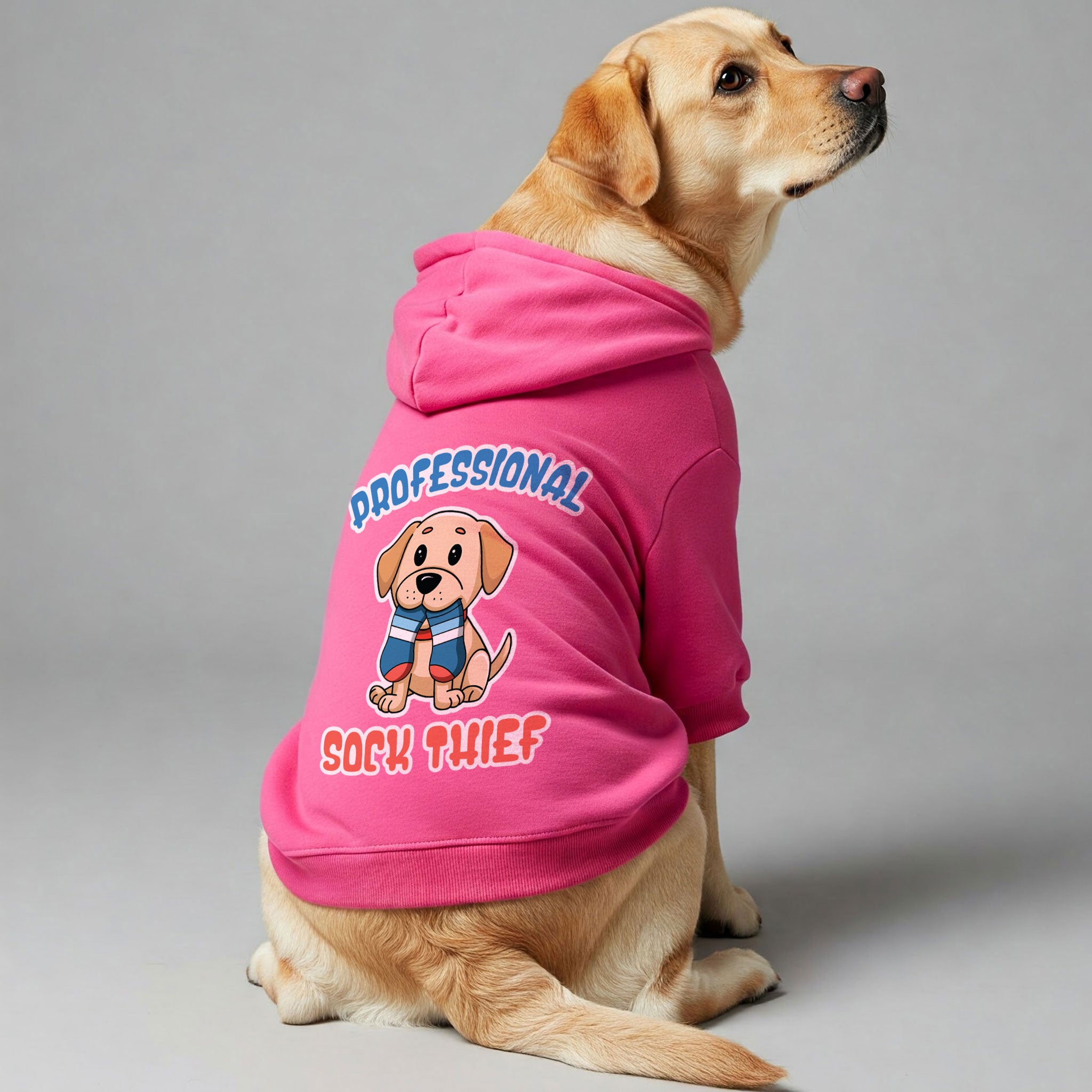 Professional Sock Thief - Labrador Hoodie - Dog Clothes