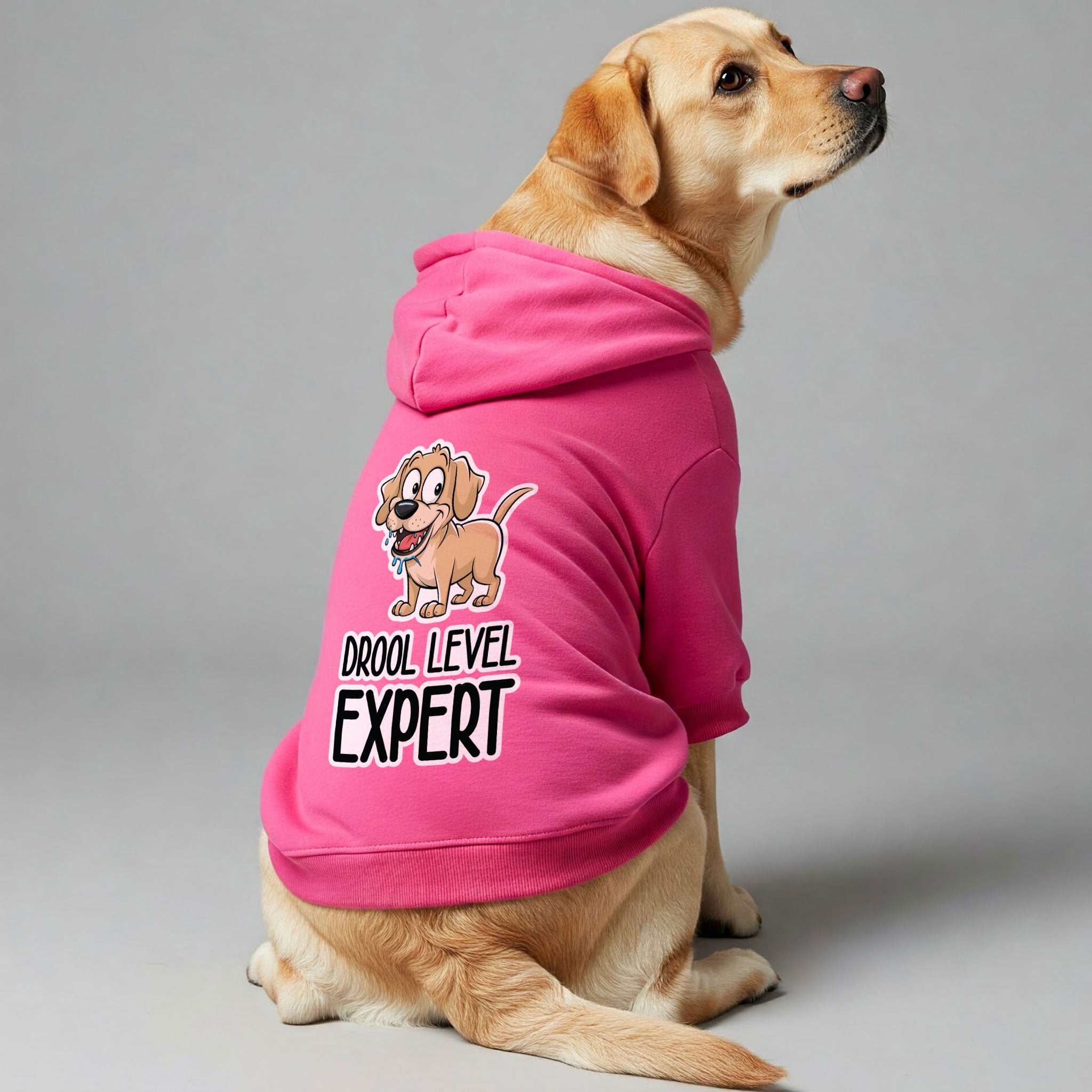 Drool level: Expert - Labrador Hoodie - Dog Clothes