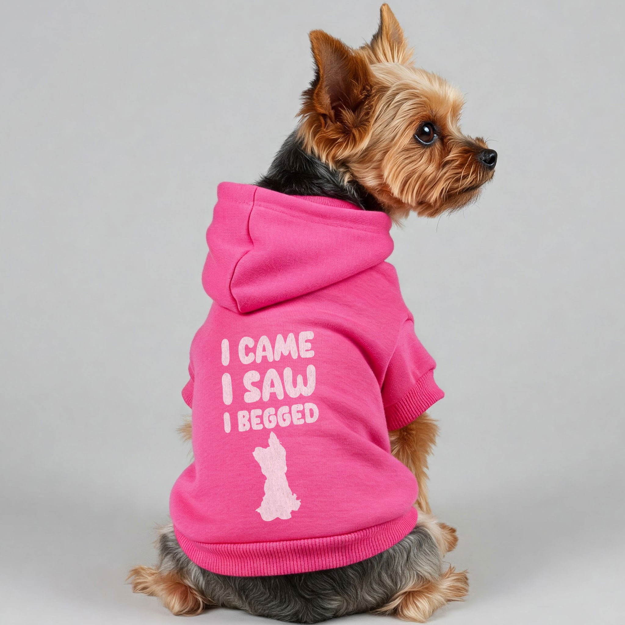 I came. I saw. I begged - Yorkie Hoodie - Dog Clothes