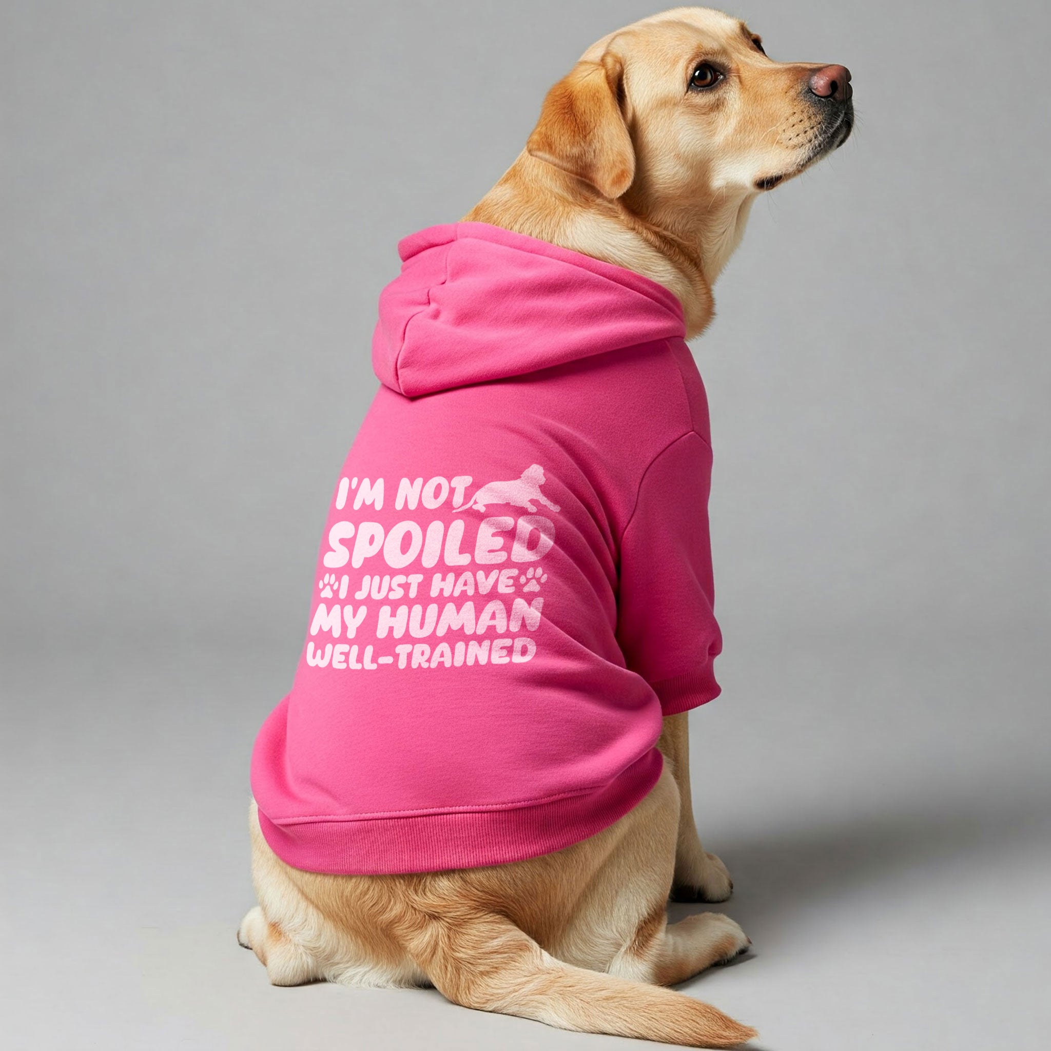 I’m Not Spoiled, I Just Have My Human Well-Trained - Labrador Hoodie - Dog Clothes