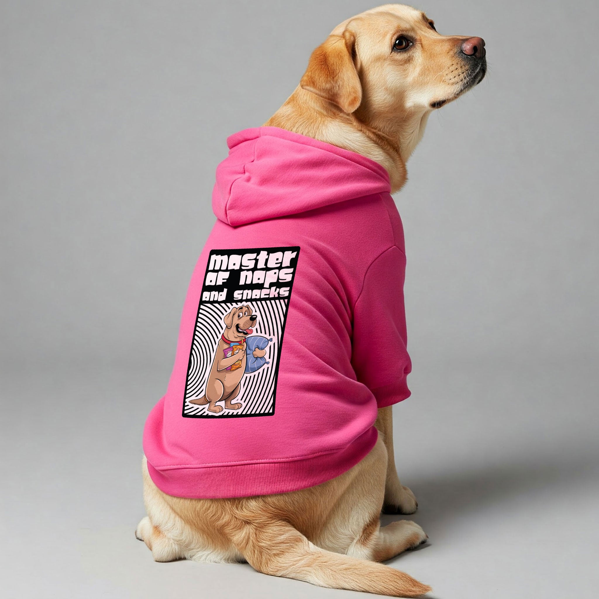 Master of Naps & Snacks - Labrador Hoodie - Dog Clothes