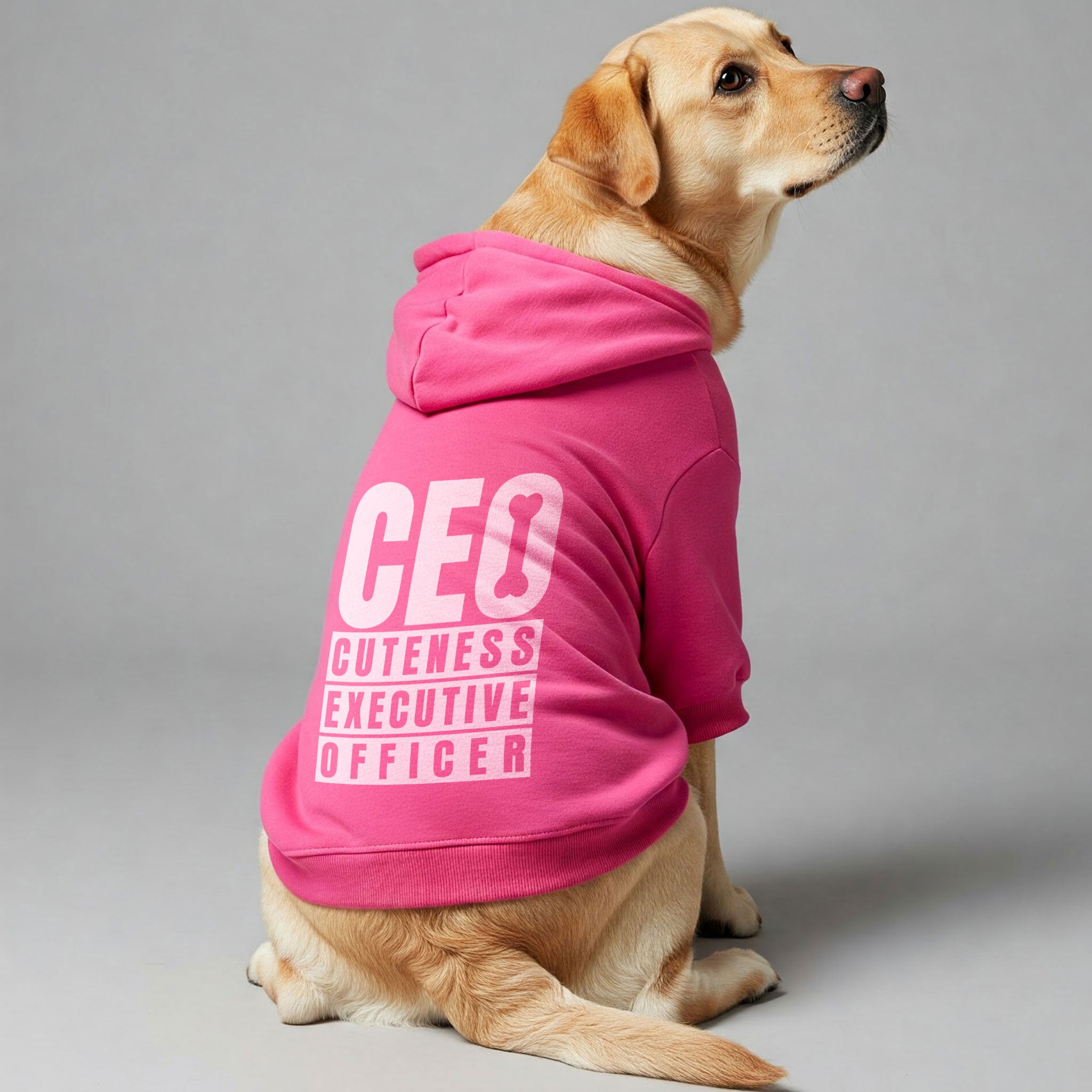 CEO ( Cuteness Executive Officer ) – Dog Hoodie – Dog Clothes