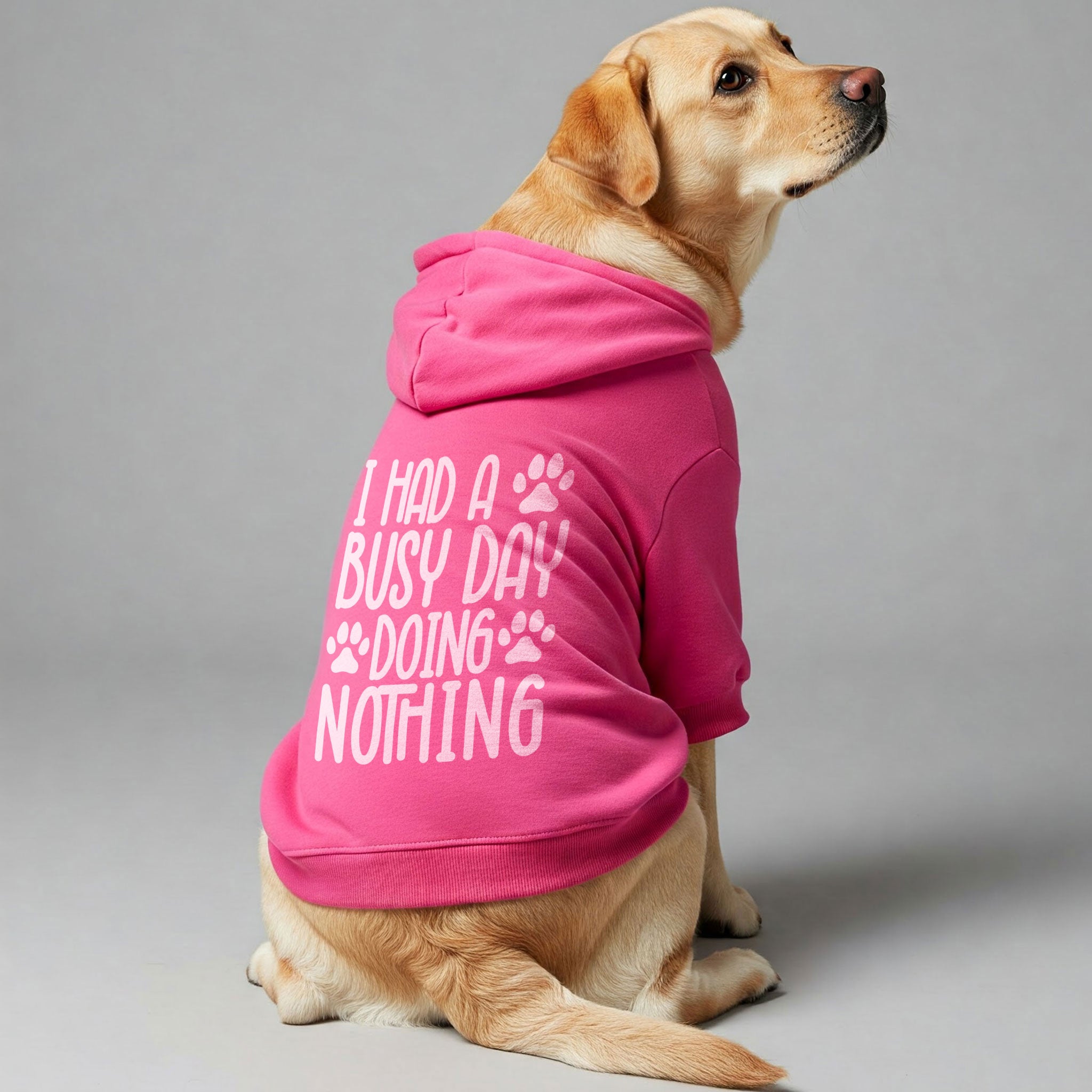I Had a Busy Day… Doing Nothing – Dog Hoodie – Dog Clothes