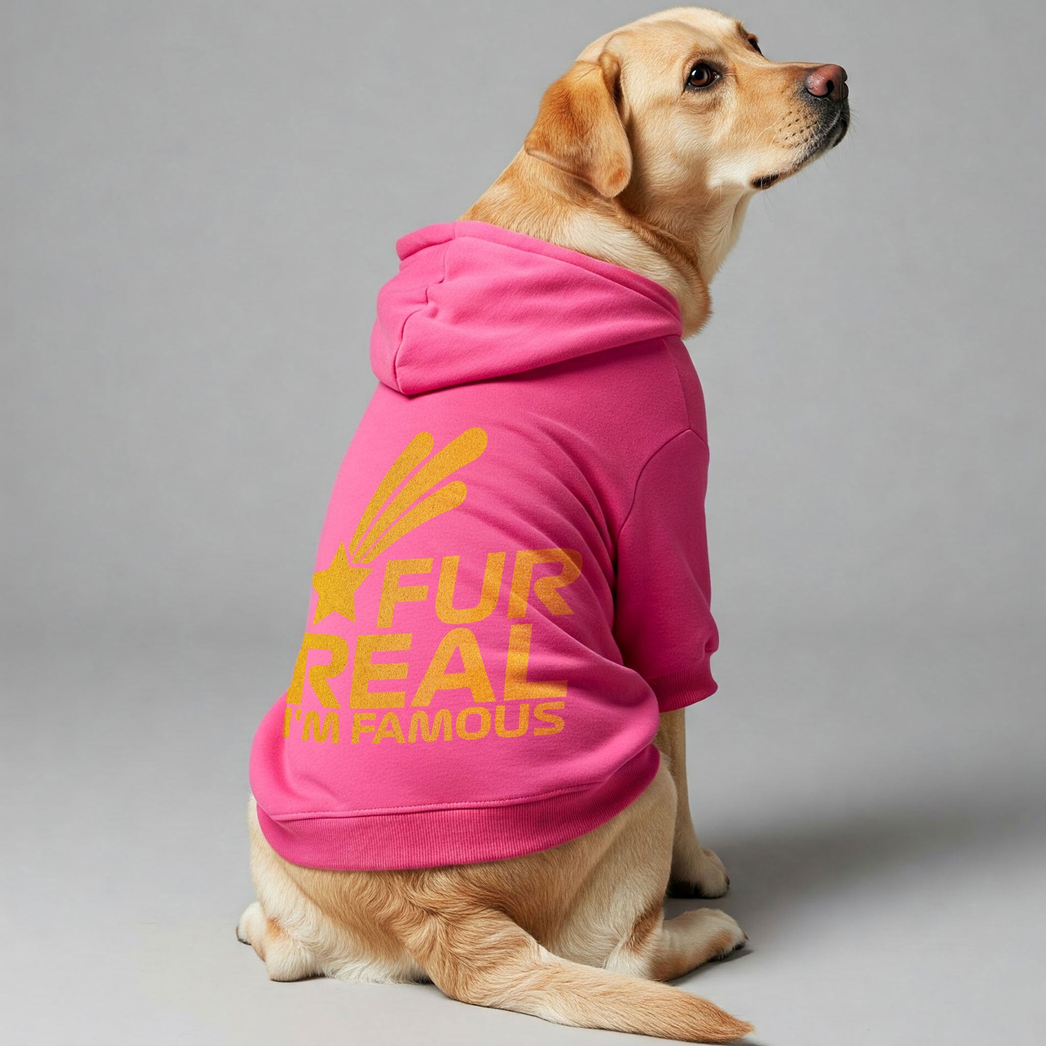 Fur Real, Im Famous– Dog Hoodie – Dog Clothes