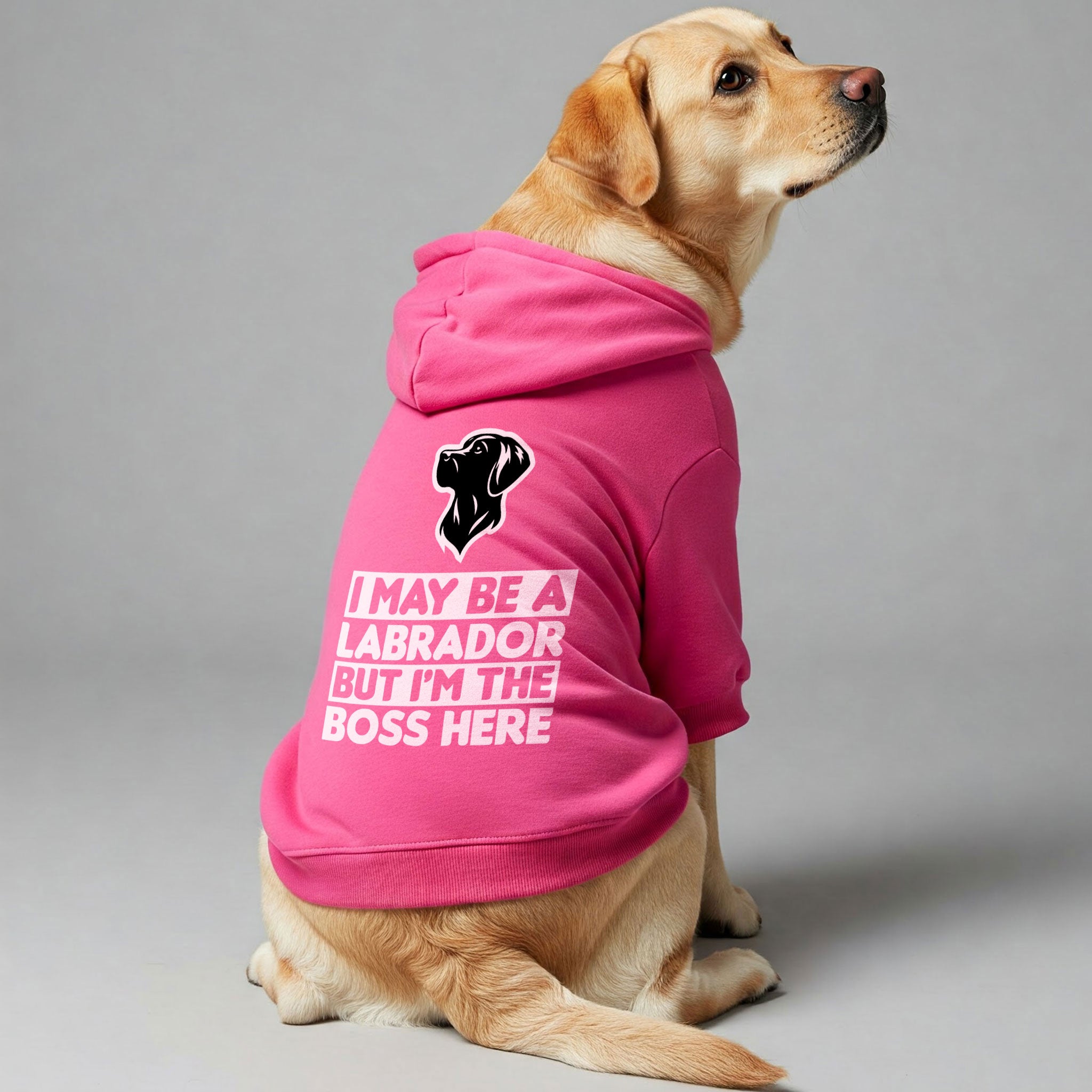 I May Be a Labrador, But I’m the Boss Here - Labrador Hoodie - Dog Clothes