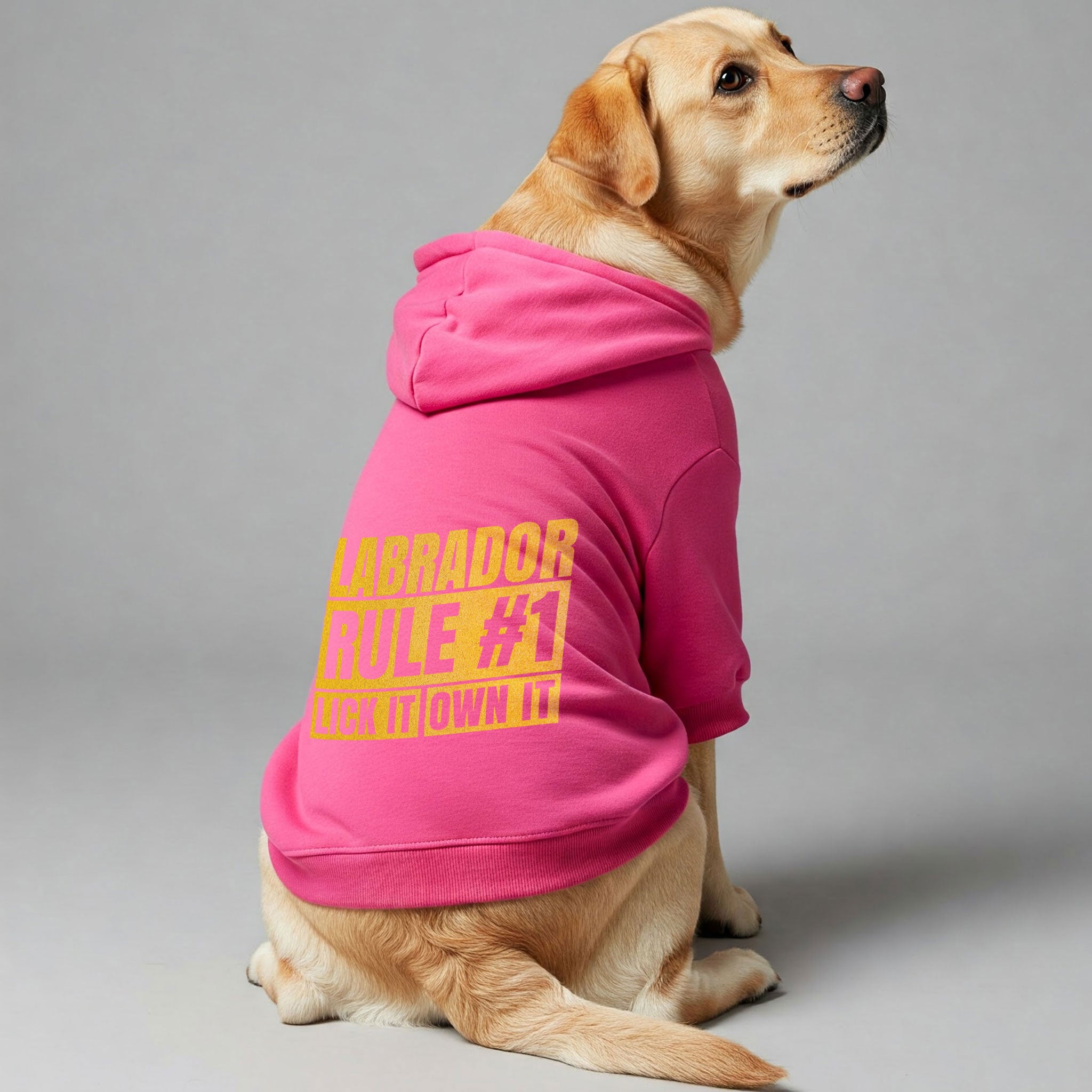 Labrador Rule #1: Lick it, own it - Labrador Hoodie - Dog Clothes