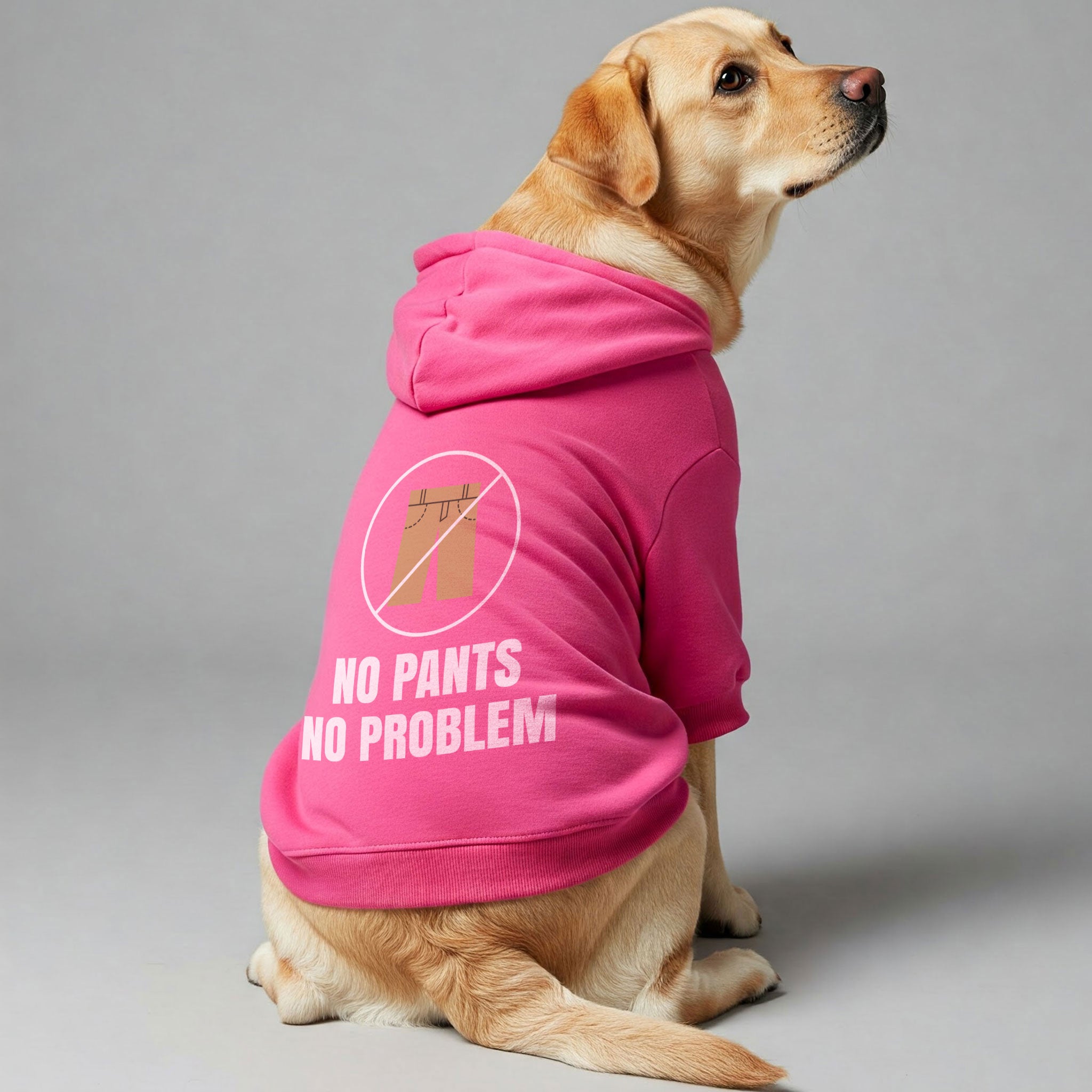 No pants, no problem – Dog Hoodie – Dog Clothes