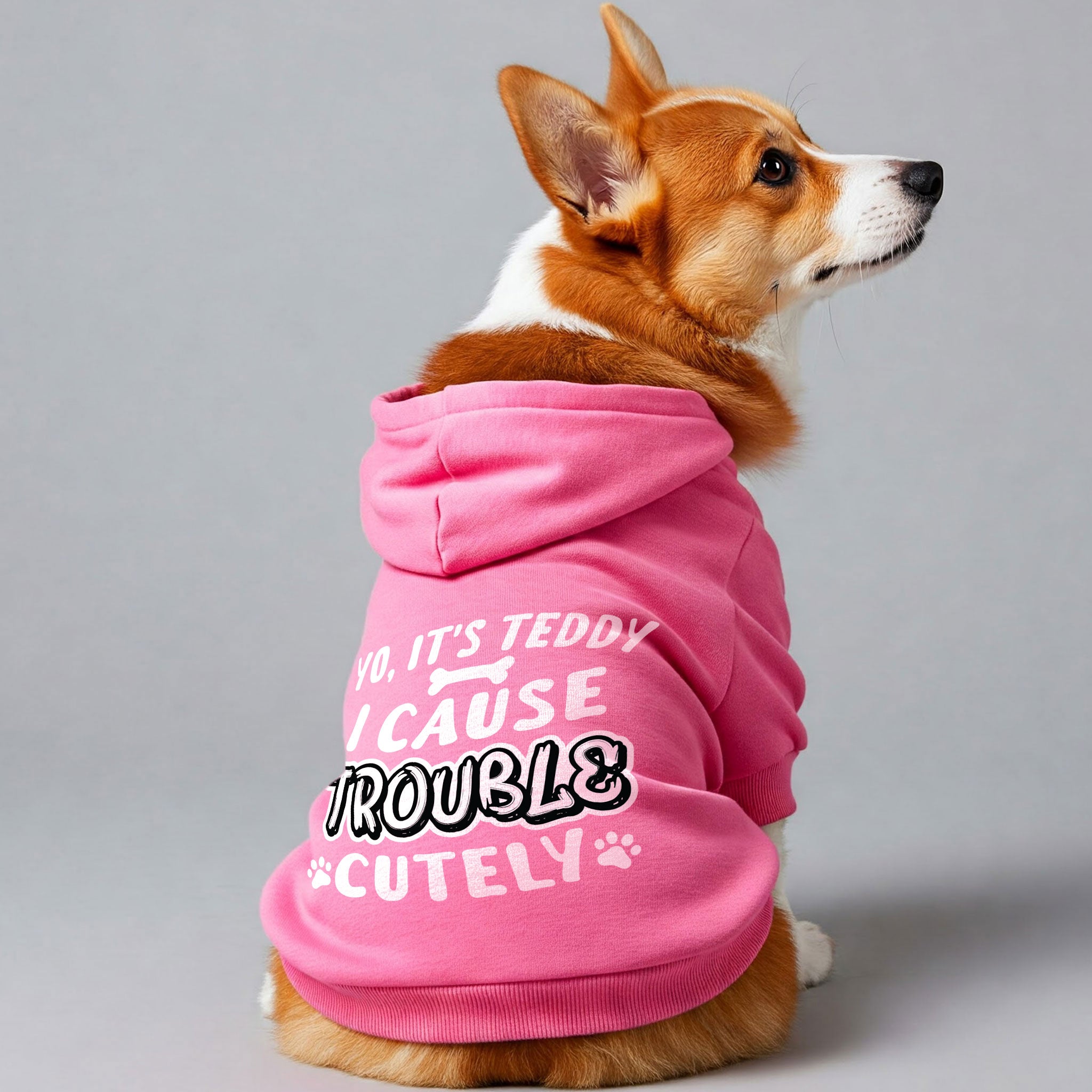 Yo, it’s Teddy. I cause trouble... cutely - personalized hoodie with your dog name – dog hoodie – dog clothes