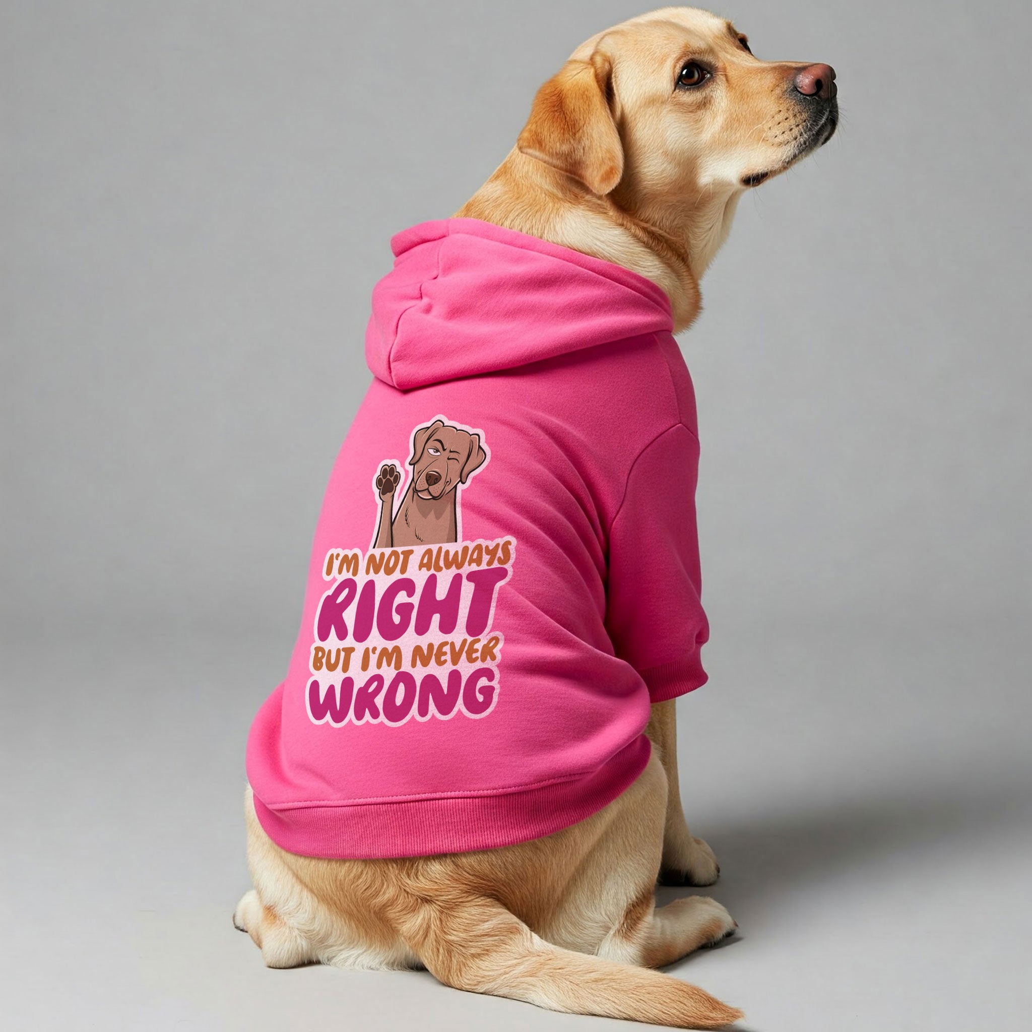 I'M NOT ALWAYS RIGHT BUT I'M NEVER WRONG - Labrador Hoodie - Dog Clothes