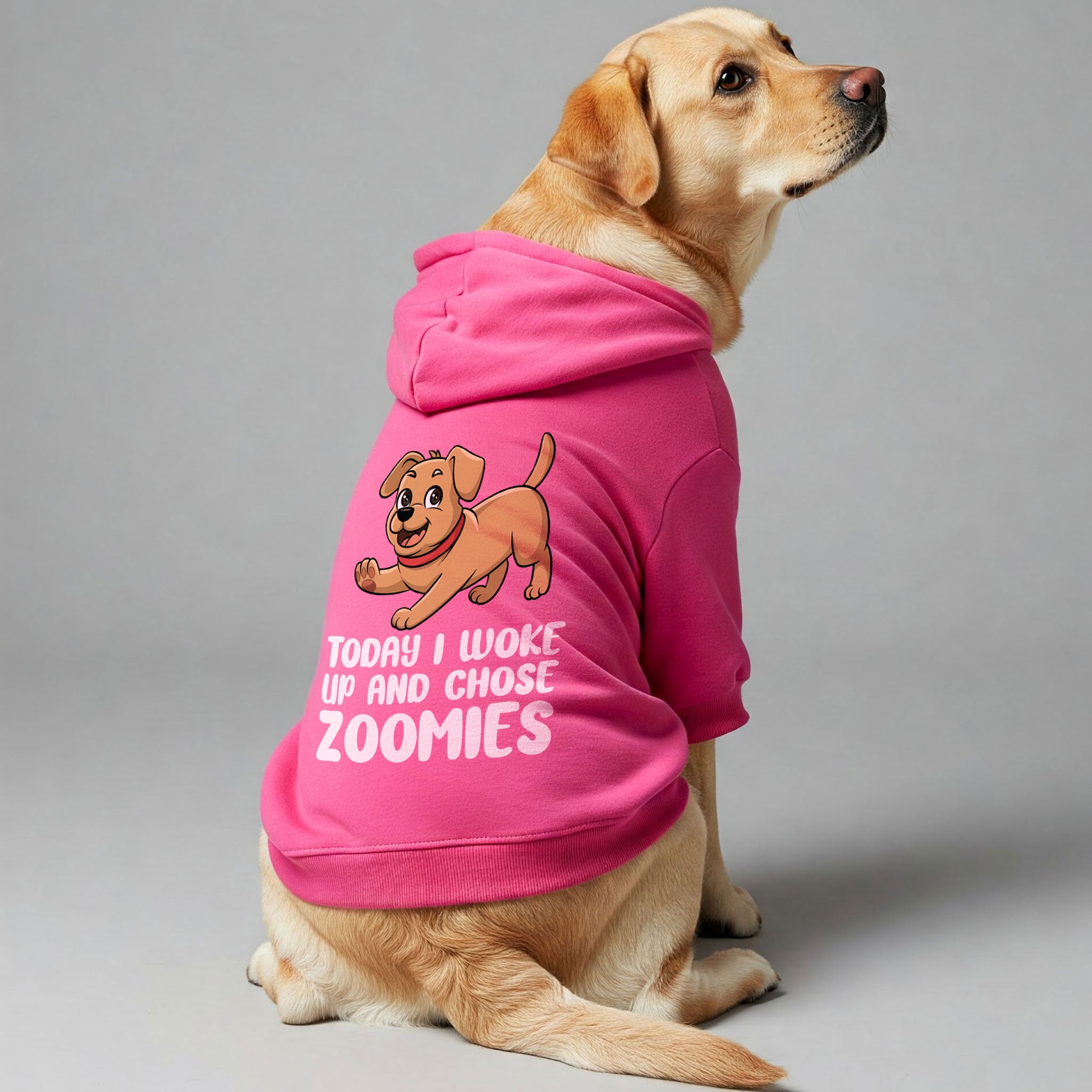 TODAY I WOKE UP AND CHOSE ZOOMIES - Labrador Hoodie - Dog Clothes