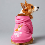 Corgi wearing a 'Hungry 24/7' hoodie