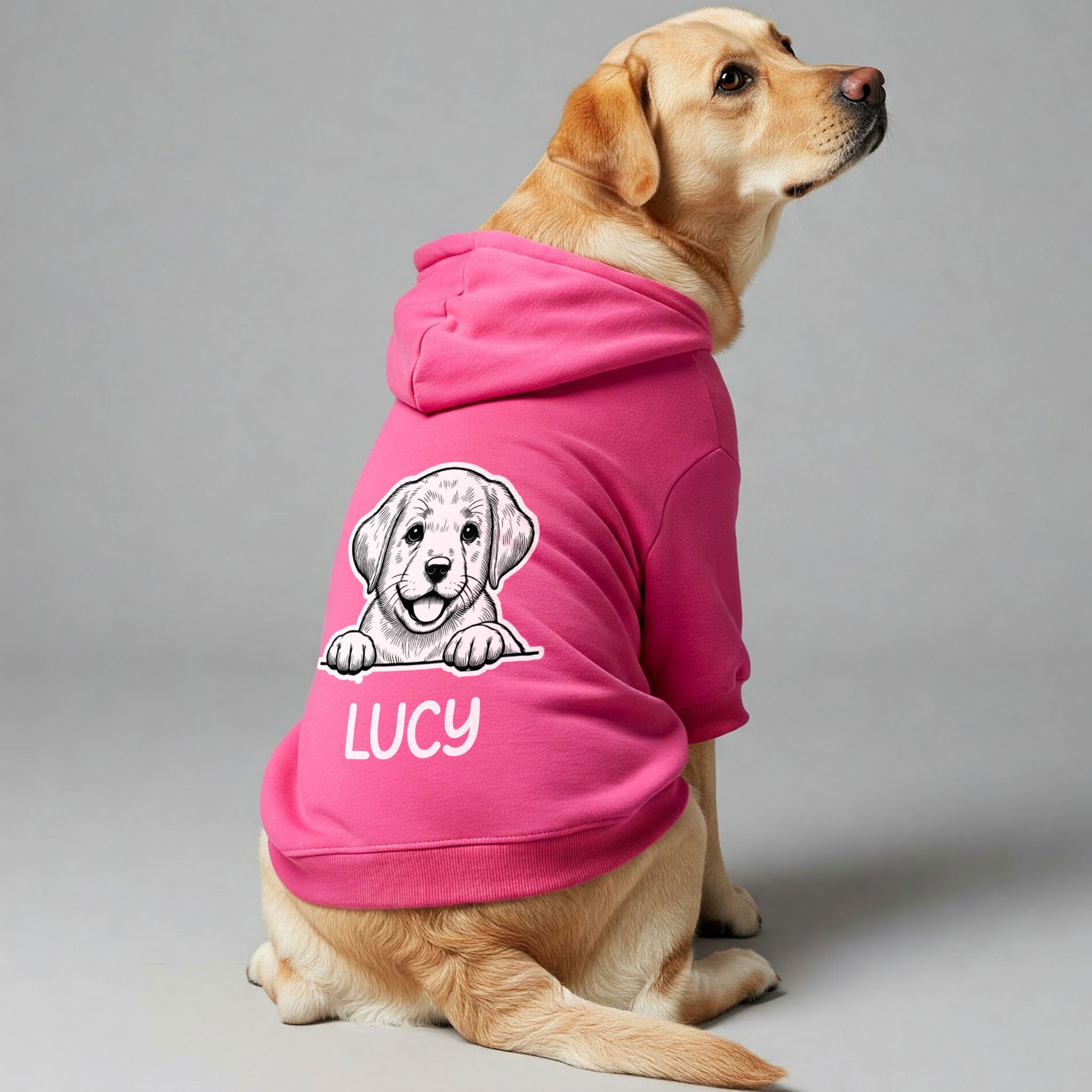Black and white - personalized hoodie with your dog name and breed – dog hoodie – dog clothes