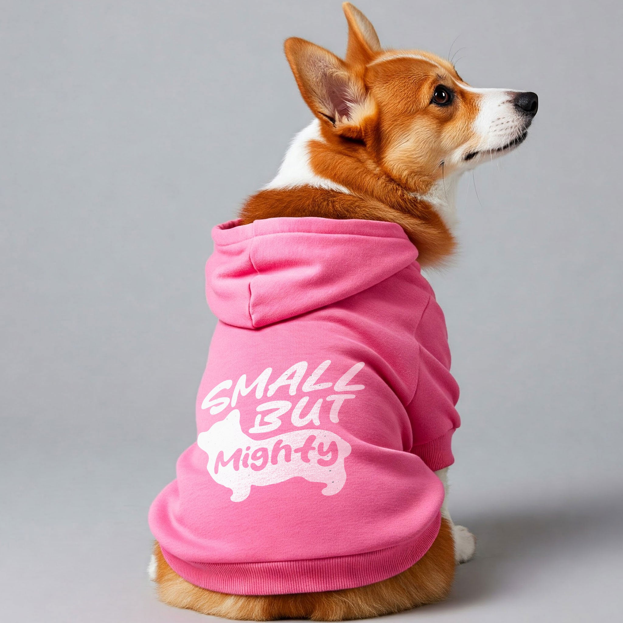 Small But Mighty - Corgi Hoodie - Dog Clothes