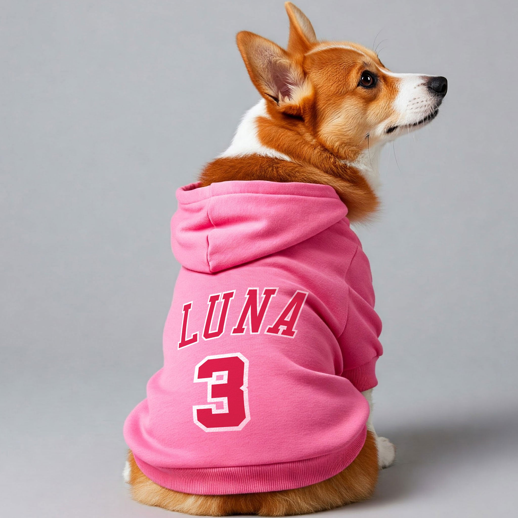 Basketball player–Personalized hoodie with your dog name and Number– dog hoodie – dog clothes
