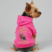 Yorkie wearing a 'Life's Too Short to Be Quiet' hoodie