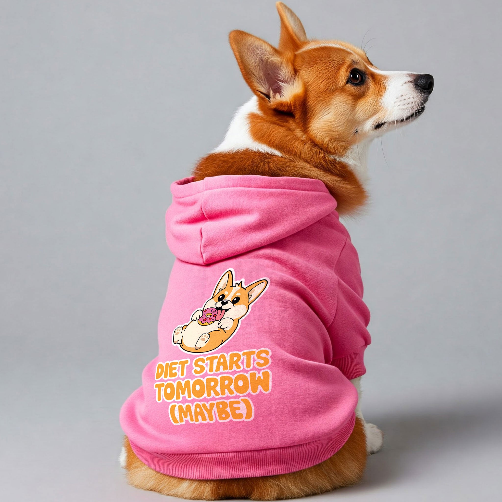 Diet starts tomorrow (maybe) - Corgi Hoodie - Dog Clothes