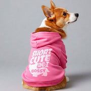 Corgi wearing a 'Short, Cute & Bossy' hoodie